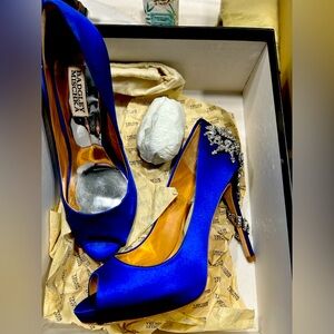 Badgley Mischka Blue Stiletto Heels